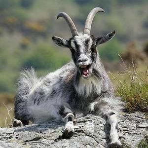 Meet your Posher, Brad